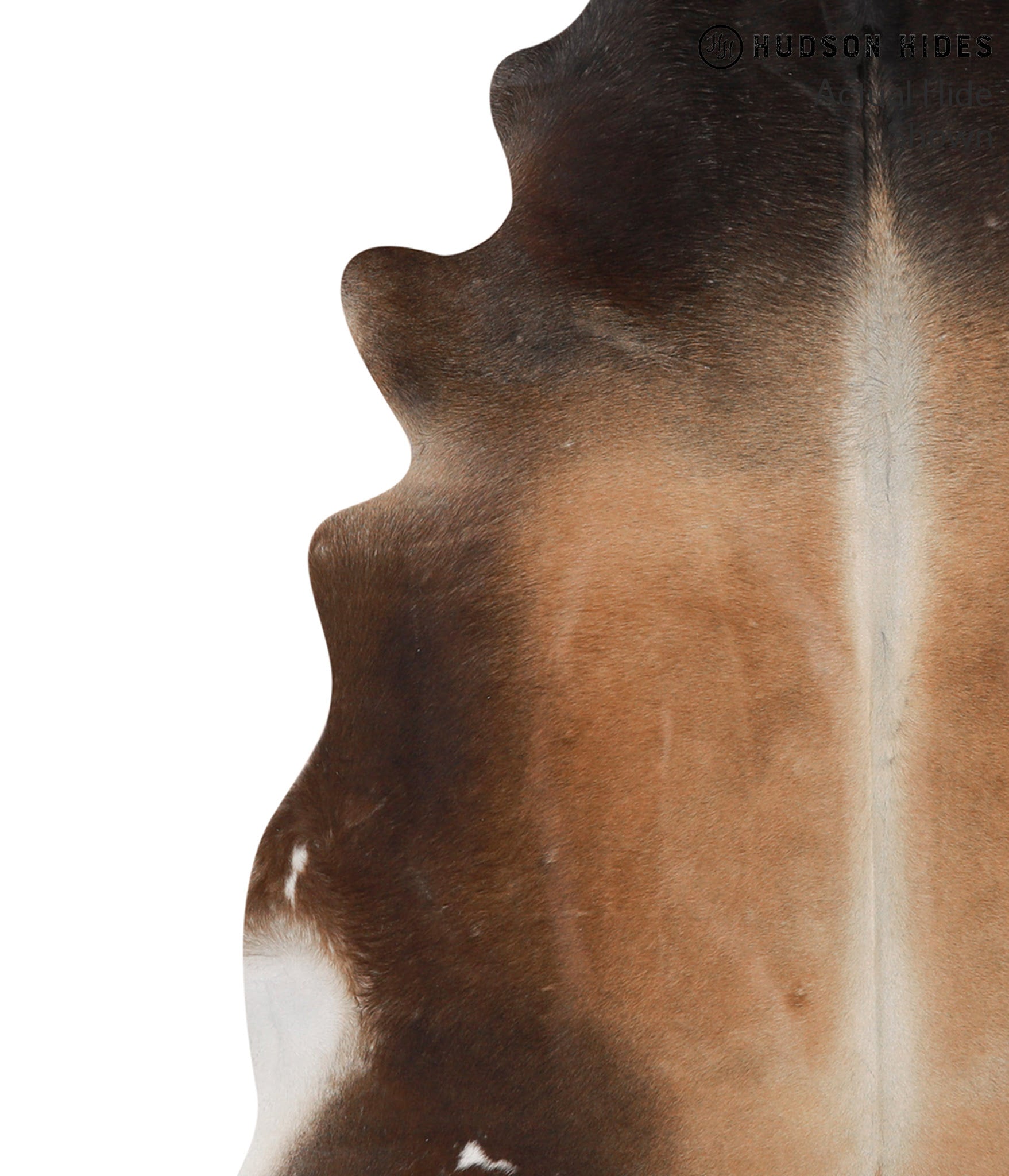 Brown with Red Cowhide Rug #66298