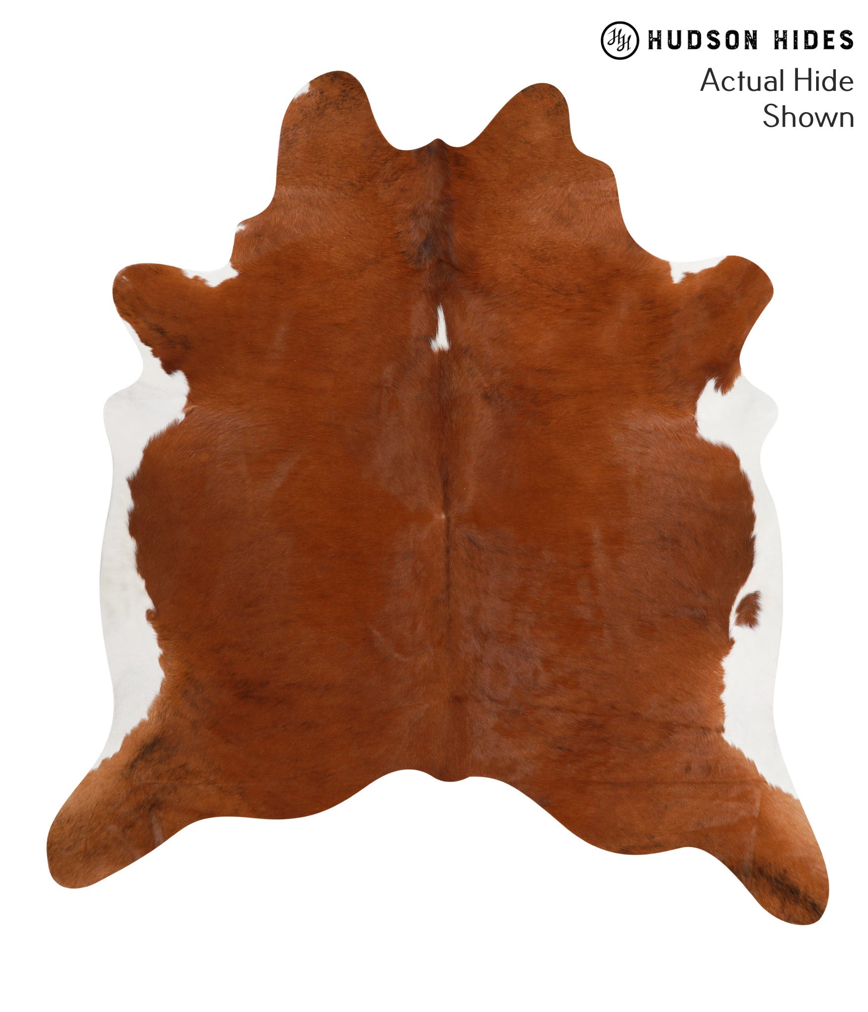 Brown and White Regular Cowhide Rug #66308