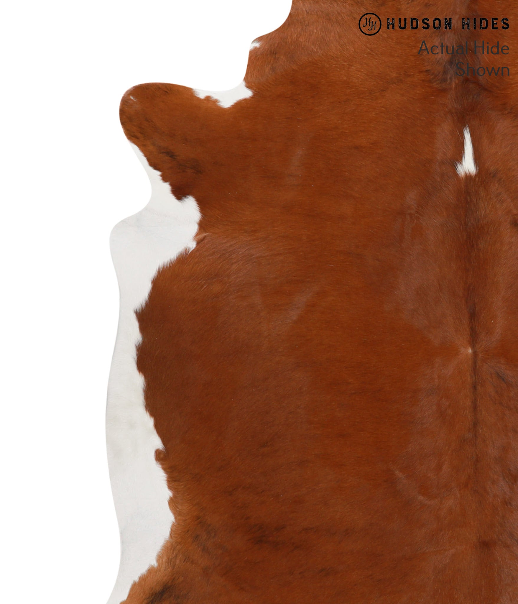 Brown and White Regular Cowhide Rug #66308