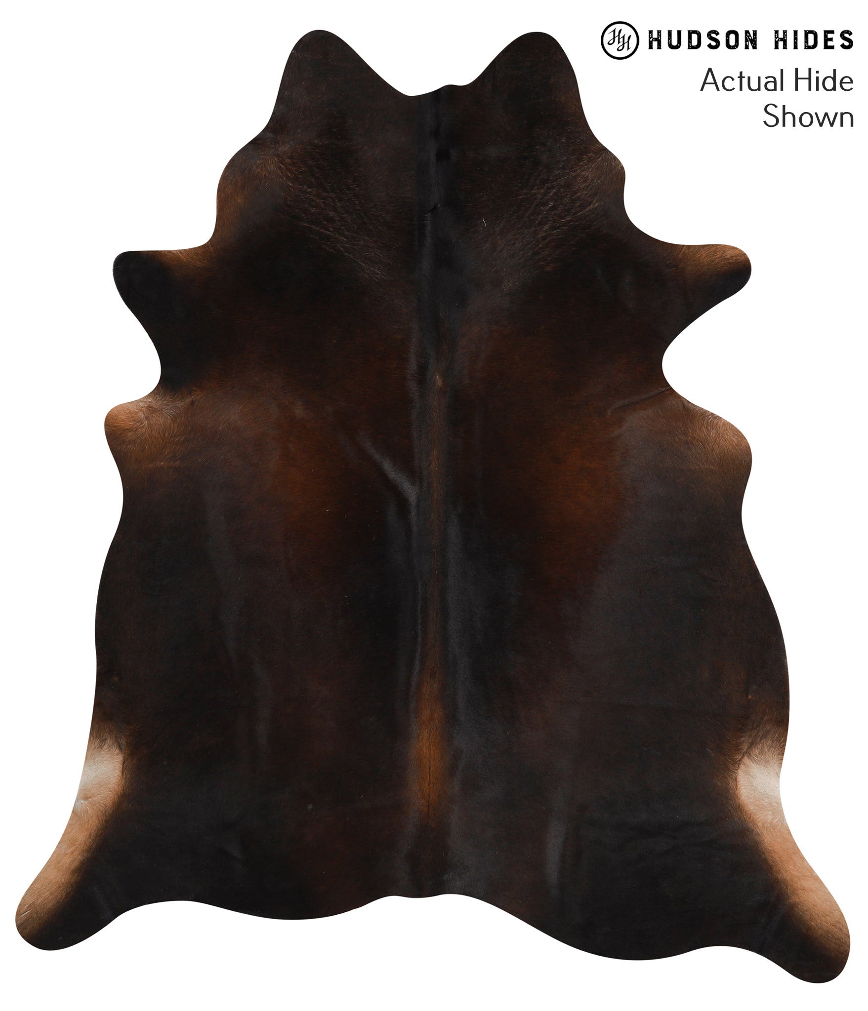 Chocolate Cowhide Rug #66324