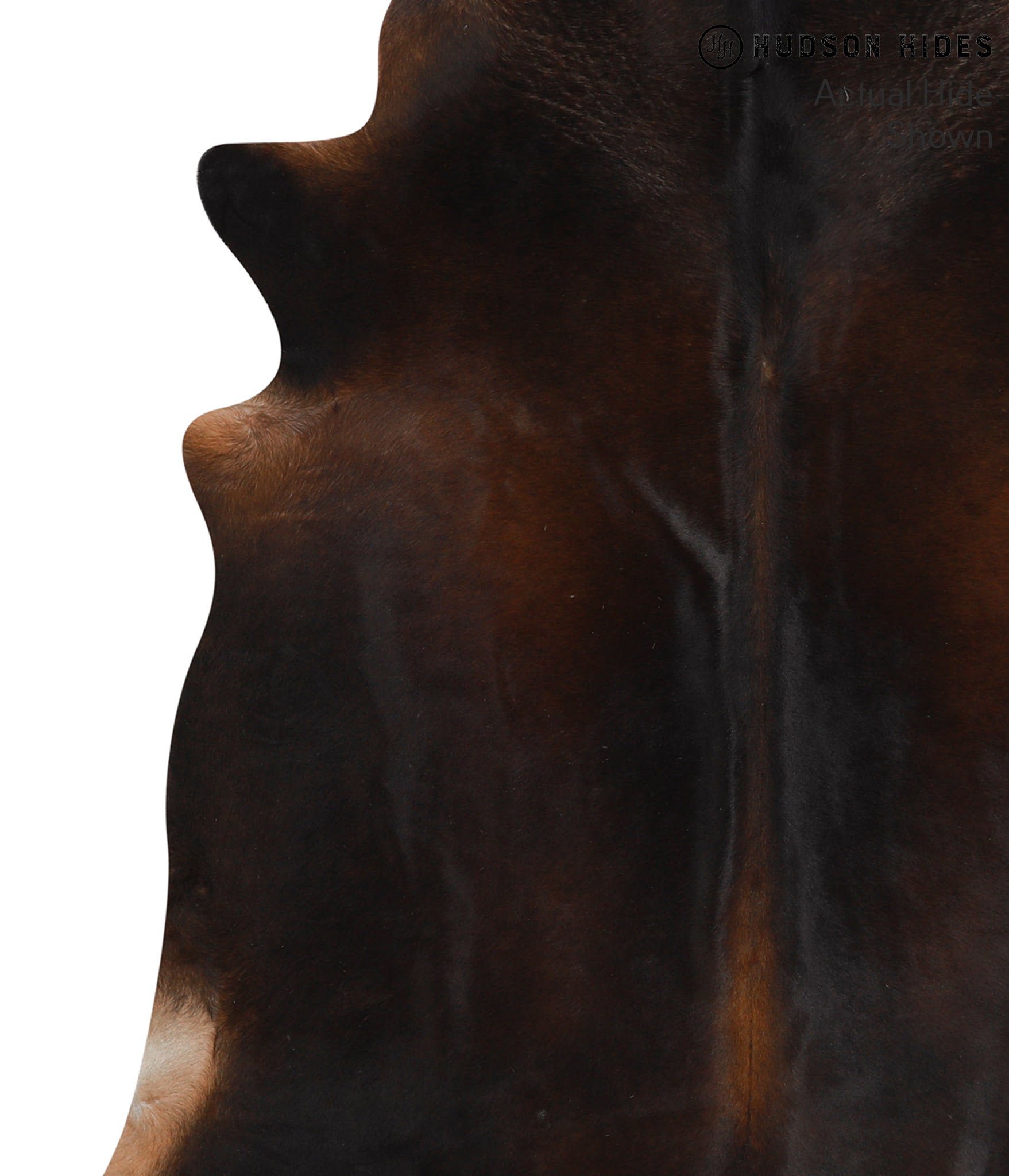 Chocolate Cowhide Rug #66324
