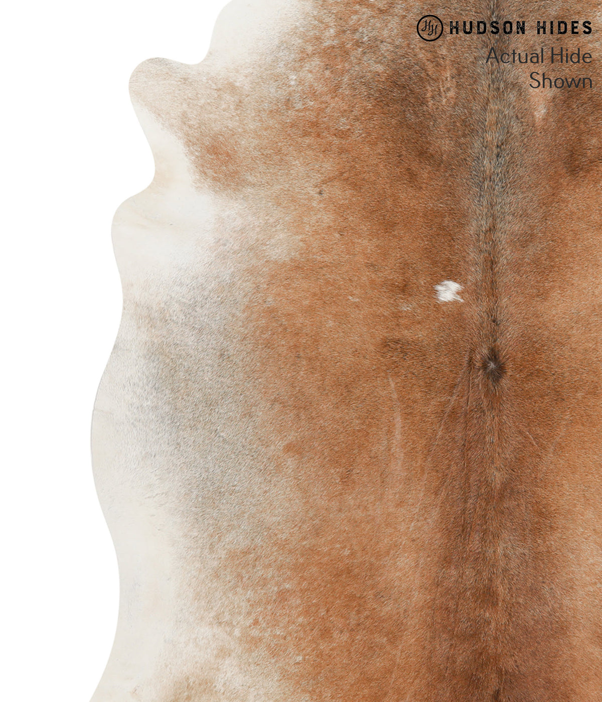 Grey with Beige X-Large Brazilian Cowhide Rug 7'4"H x 6'5"W #66346 by Hudson Hides