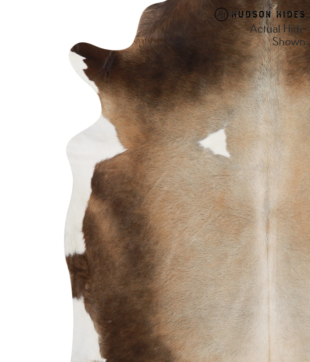 Grey with Beige X-Large Brazilian Cowhide Rug 7'0"H x 5'8"W #66373 by 