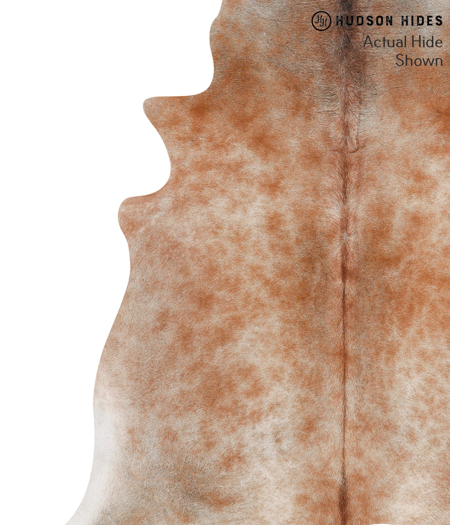 Caramel Cowhide Rug #66391