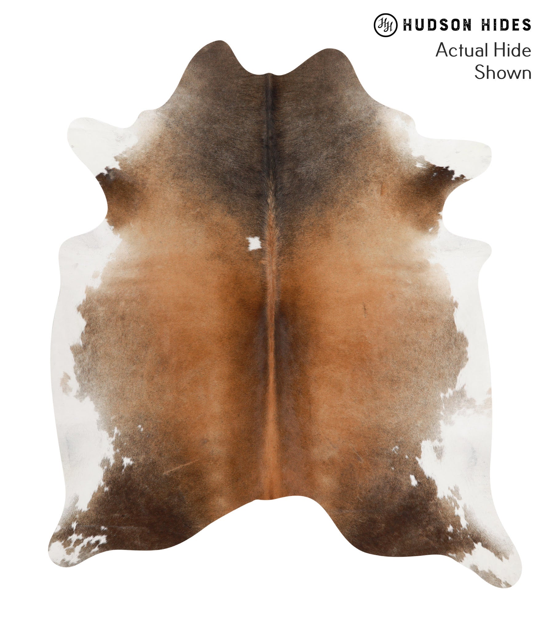 Brown with Red Cowhide Rug #66430