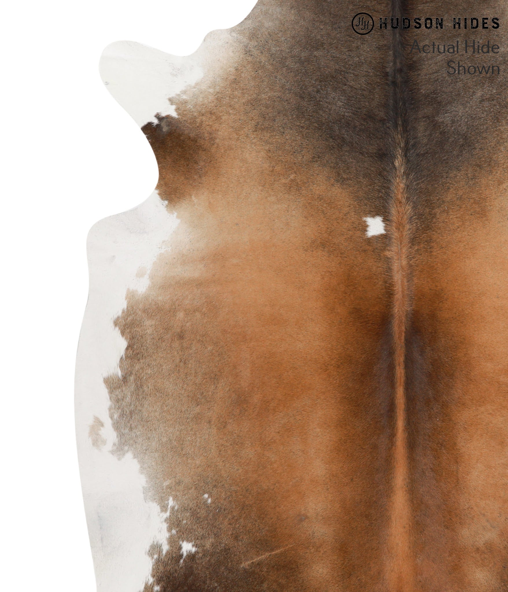Brown with Red Cowhide Rug #66430