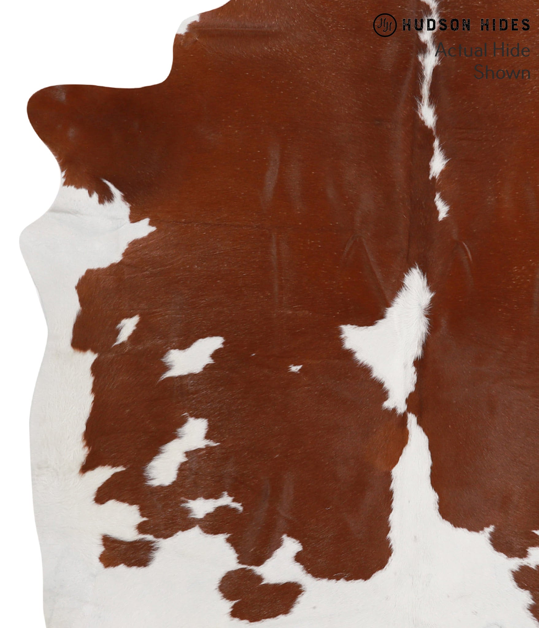 Brown and White Cowhide Rug #66489