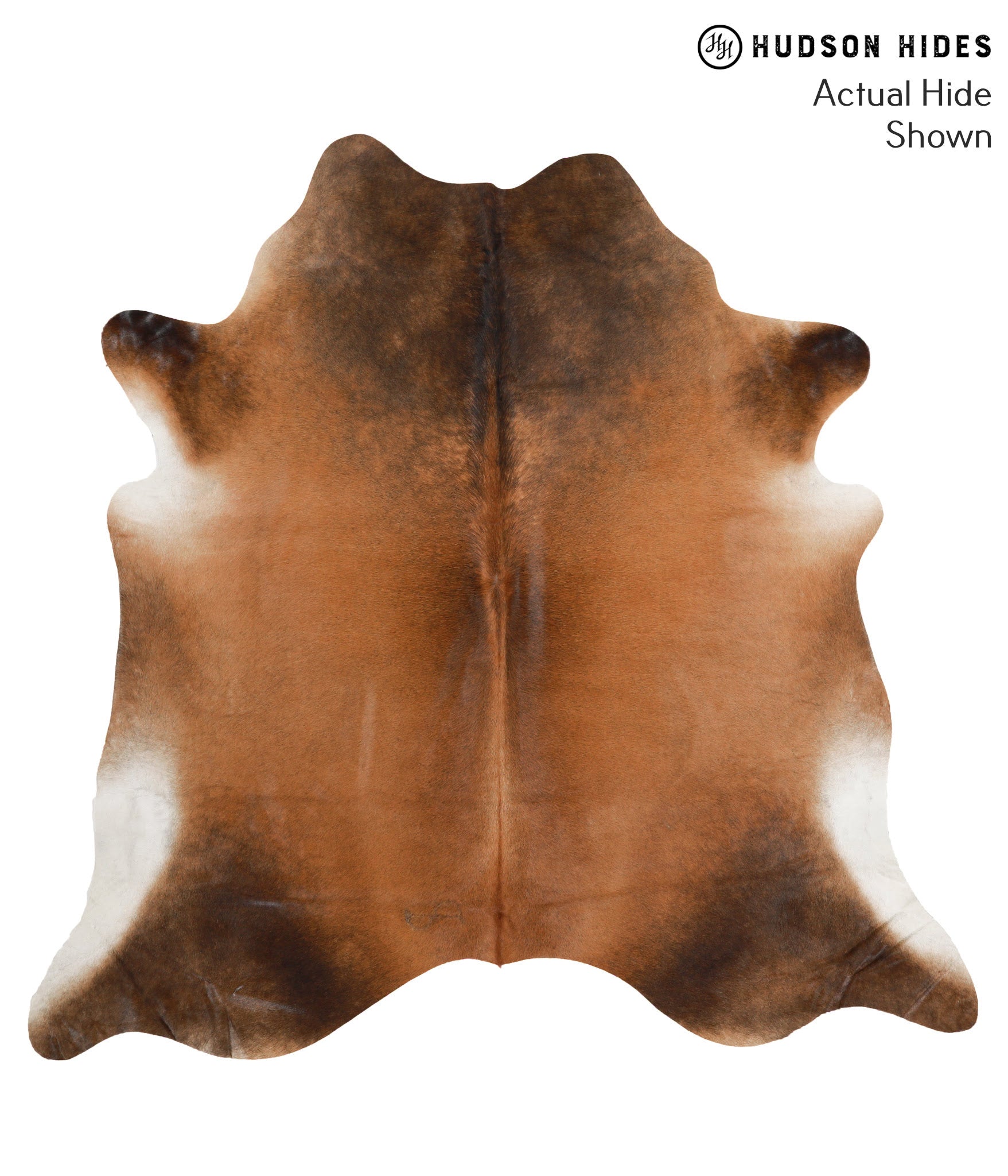 Brown with Red Cowhide Rug #66538