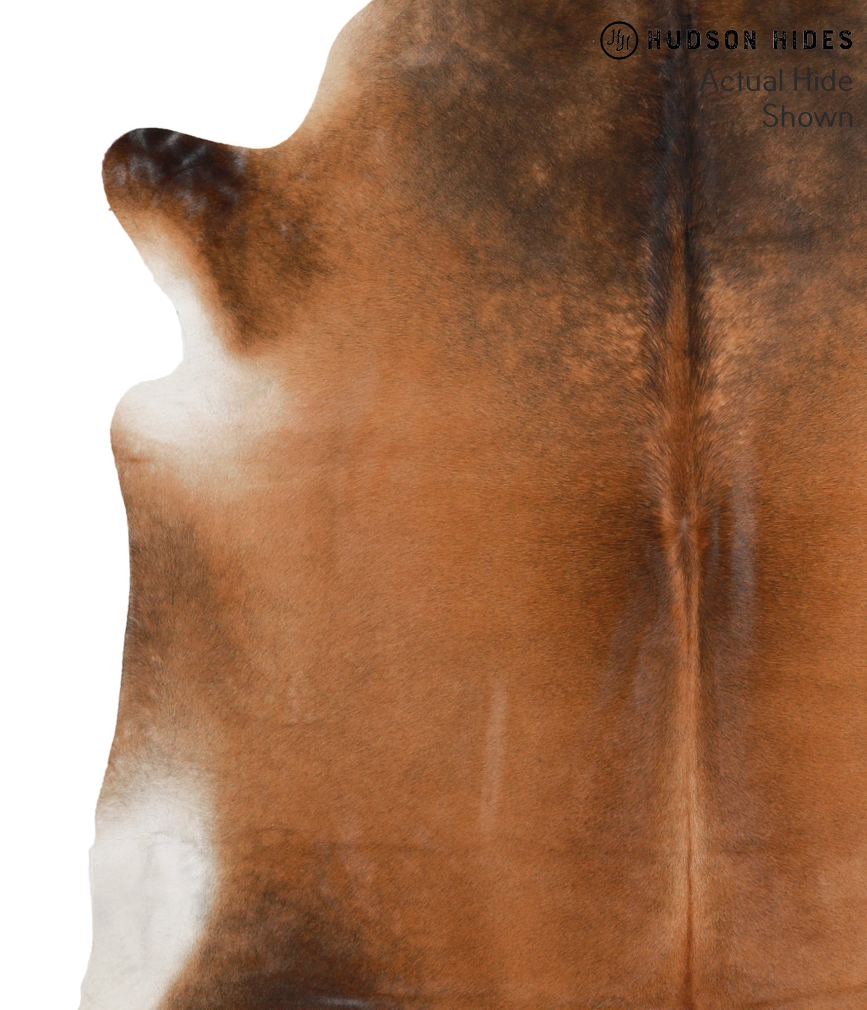 Brown with Red Cowhide Rug #66538