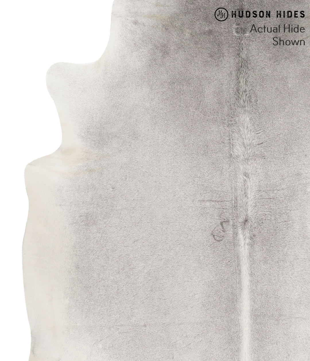 Medium Grey X-Large Brazilian Cowhide Rug 7'0"H x 6'5"W #66653 by Huds