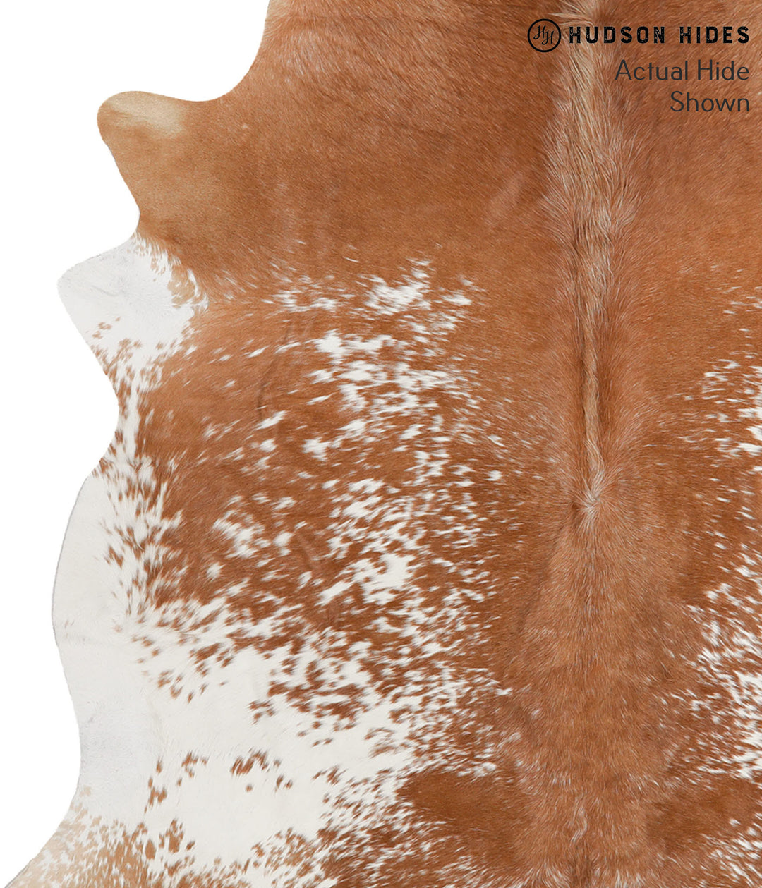 Brown and White X-Large Brazilian Cowhide Rug 6'8"H x 6'11"W #66768 by
