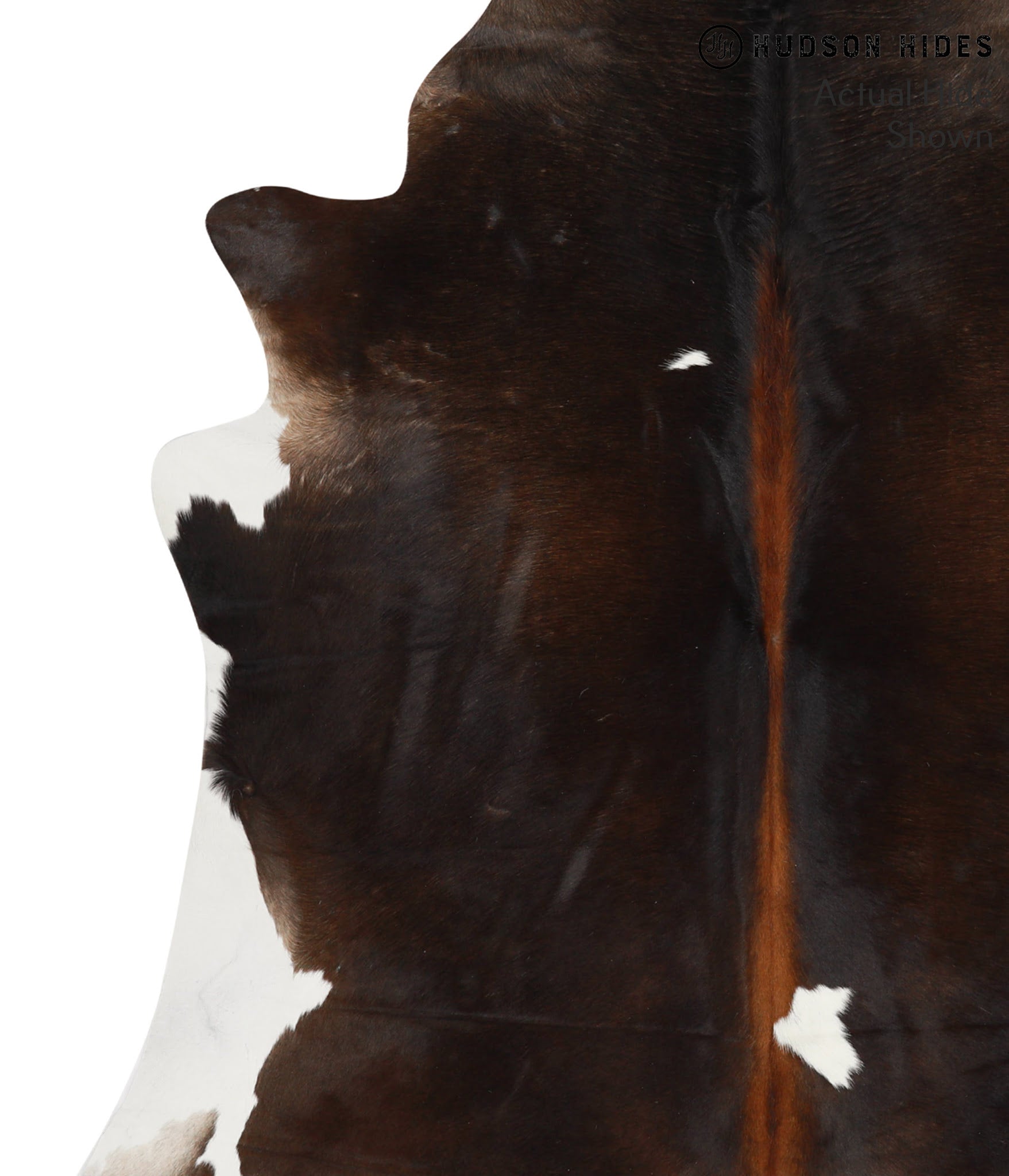 Chocolate and White Cowhide Rug #66981