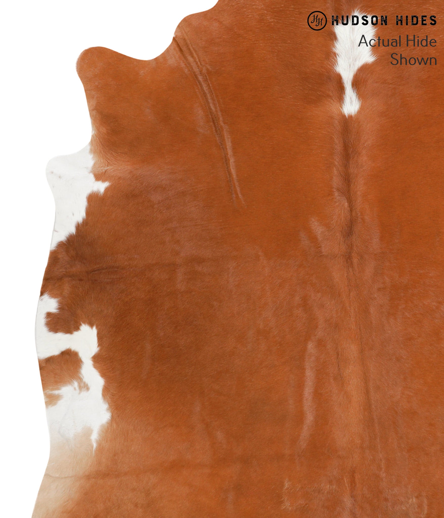 Brown and White Regular Cowhide Rug #67111