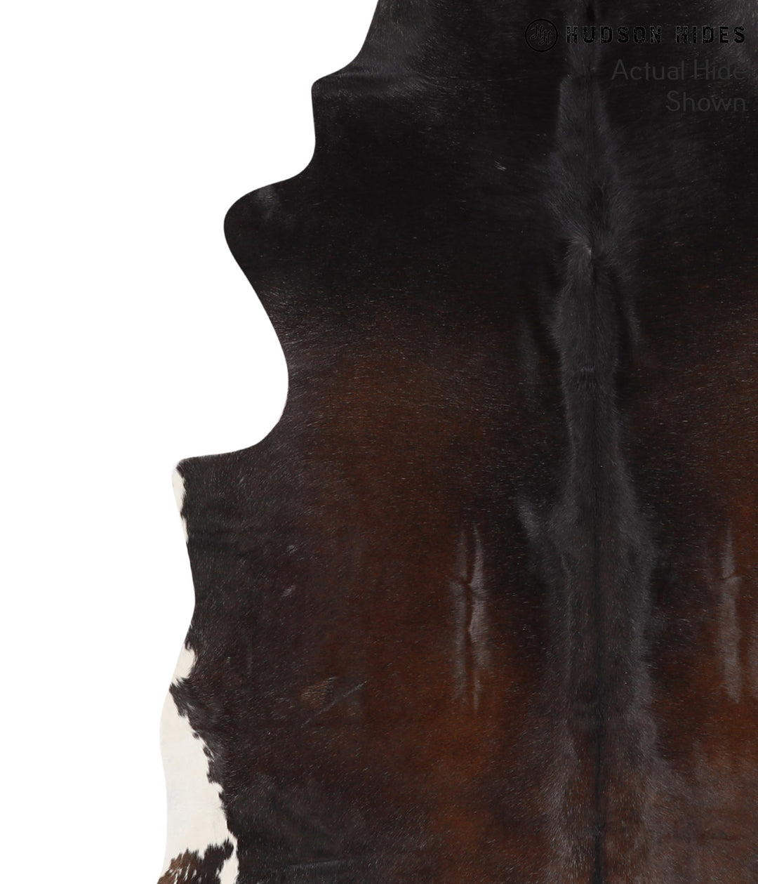 Chocolate X-Large Brazilian Cowhide Rug 6'8"H x 6'0"W #67188 by Hudson