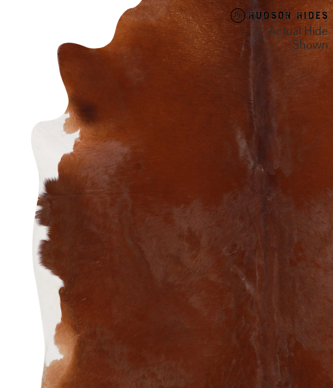 Solid Brown X-Large Brazilian Cowhide Rug 7'0"H x 6'9"W #67411 by Huds