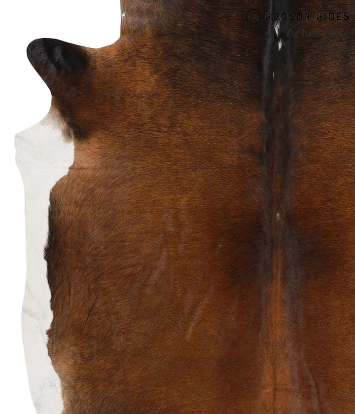 Chocolate X-Large Brazilian Cowhide Rug 7'0"H x 6'1"W #68105 by Hudson Hides