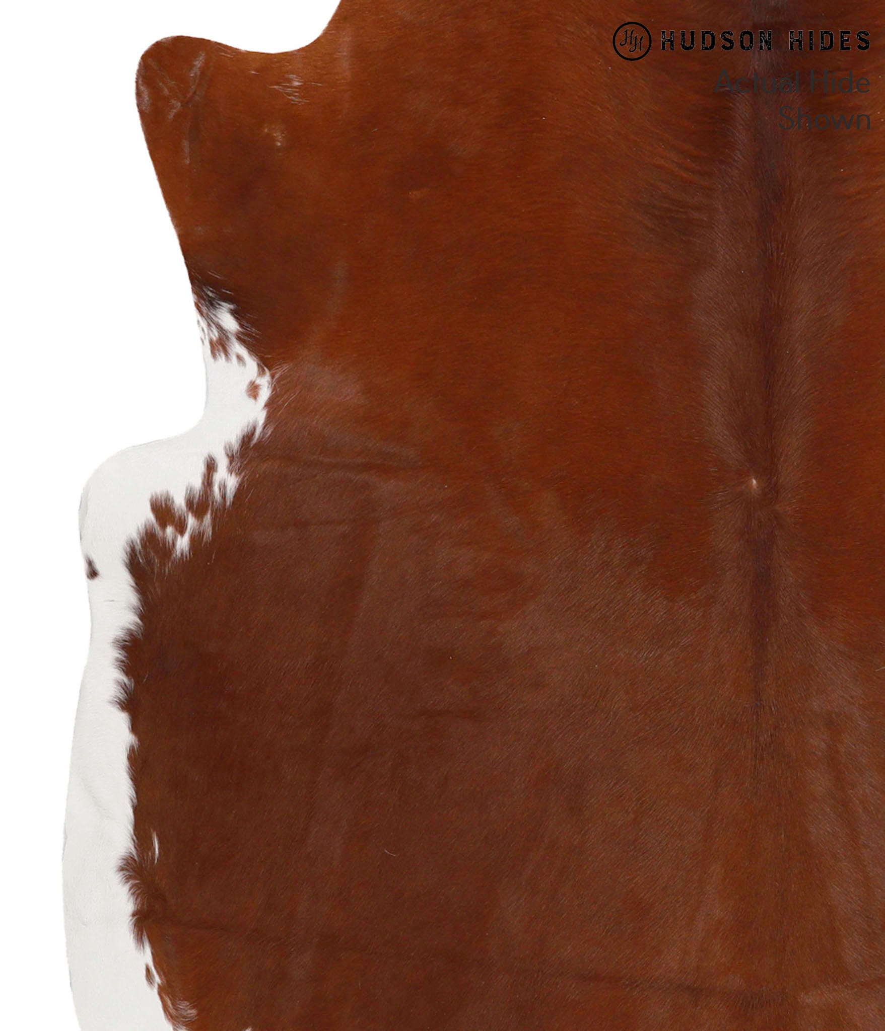 Brown and White Regular Cowhide Rug #68117