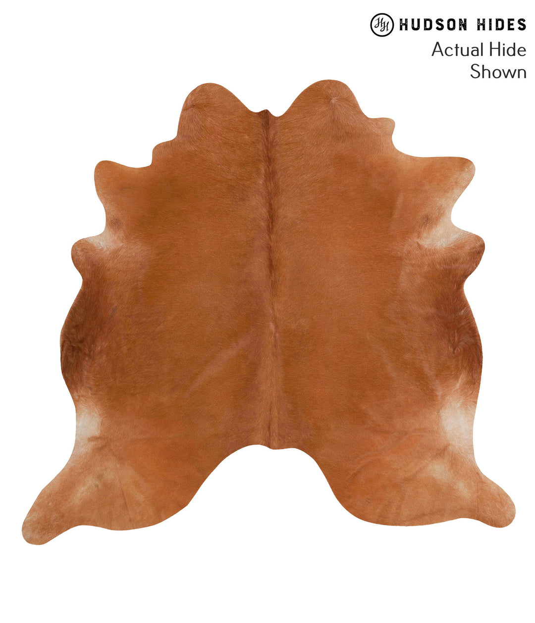 Solid Brown X-Large Brazilian Cowhide Rug 6'3"H x 6'8"W #68144 by Huds