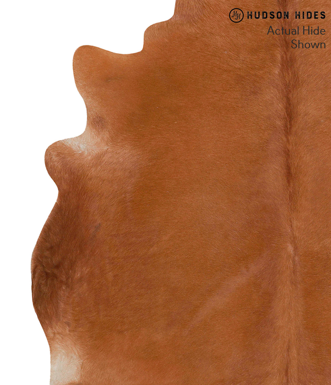 Solid Brown X-Large Brazilian Cowhide Rug 6'3"H x 6'8"W #68144 by Huds