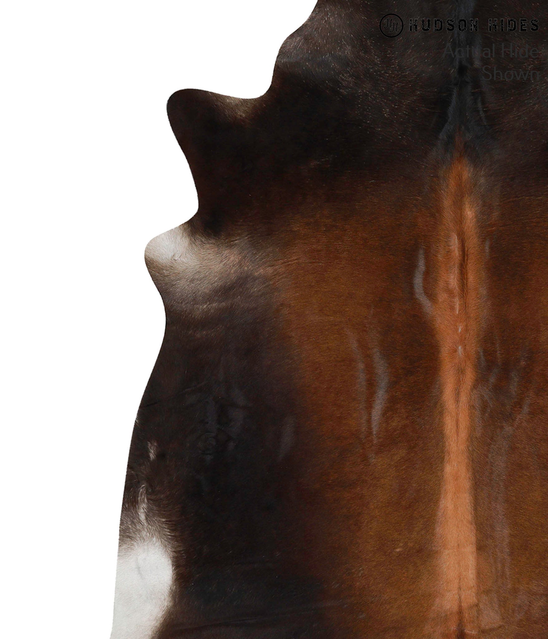 Chocolate Cowhide Rug #68399