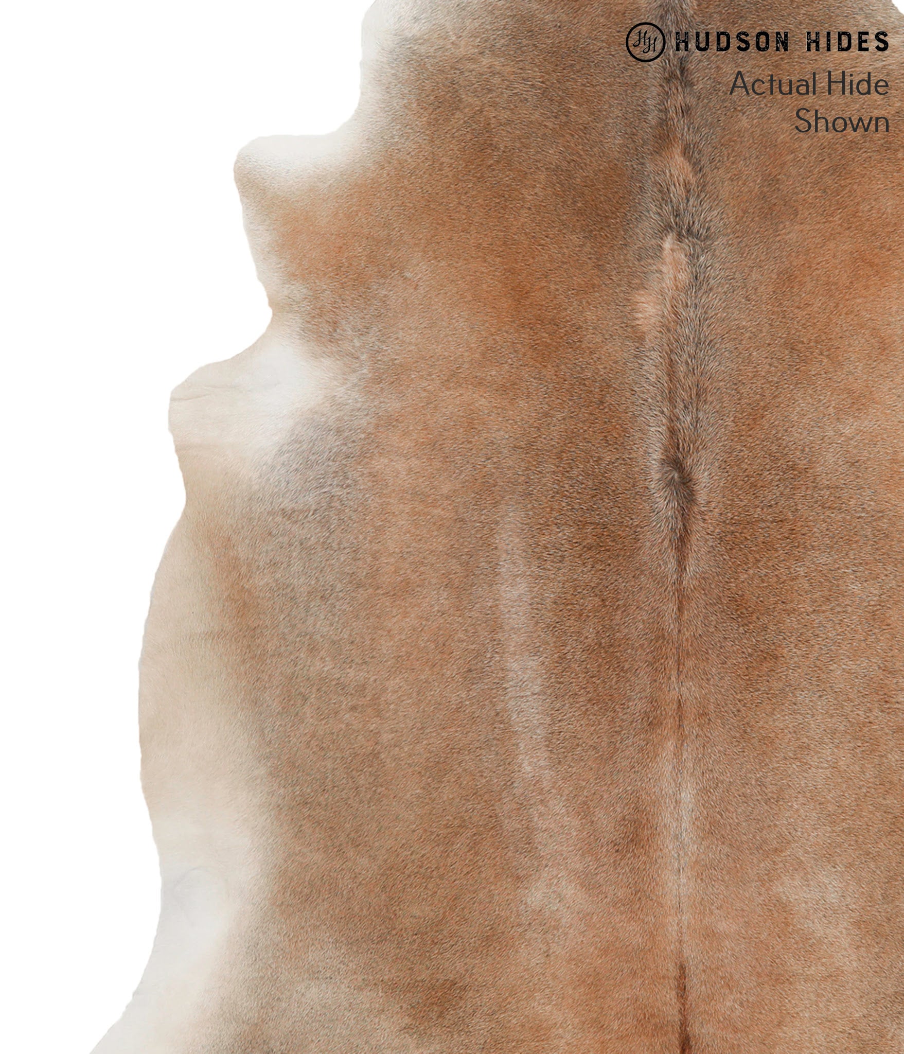 Grey with Beige Cowhide Rug #69214