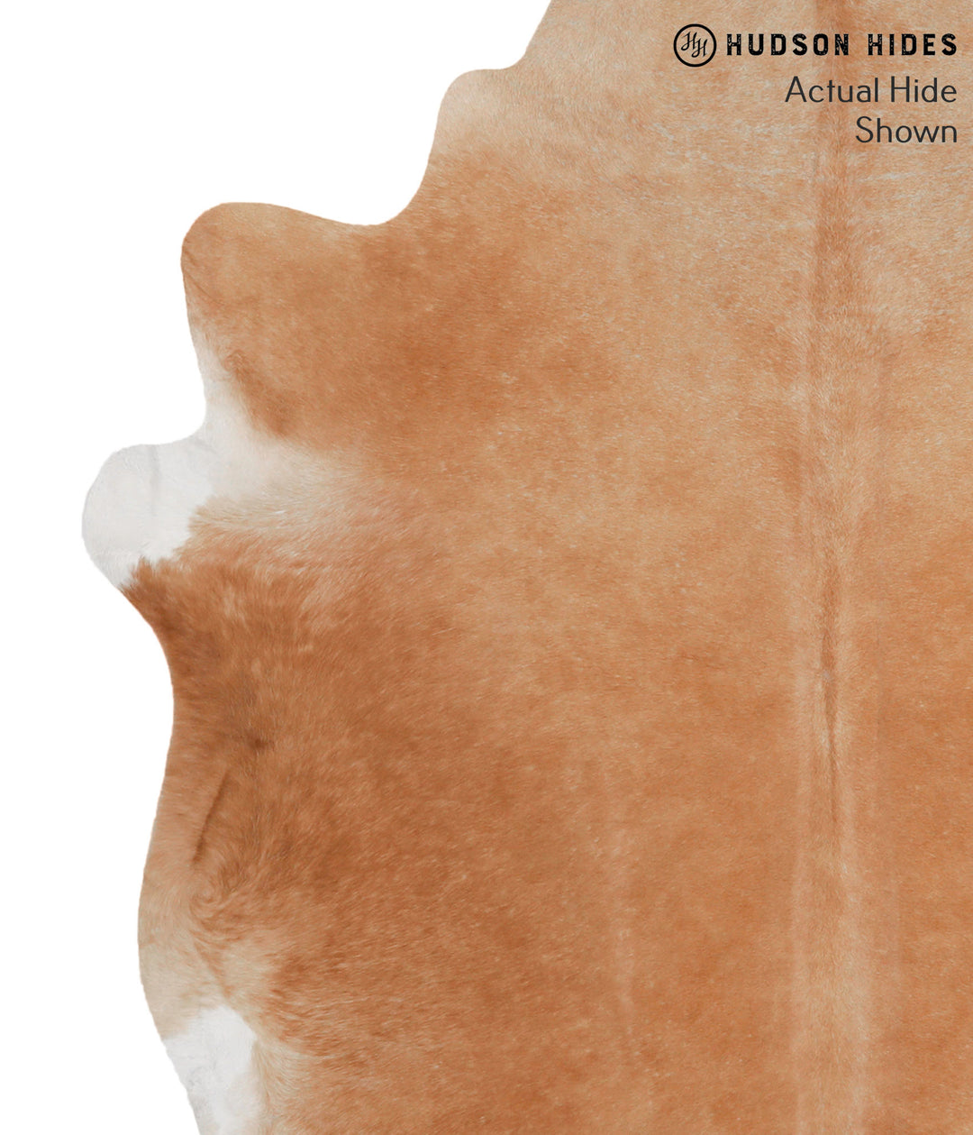 Solid Brown X-Large Brazilian Cowhide Rug 6'7"H x 6'3"W #69367 by Huds