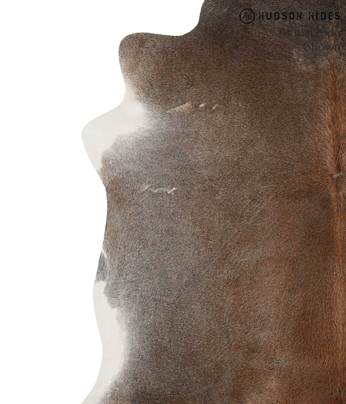 Grey with Beige X-Large Brazilian Cowhide Rug 6'1"H x 6'9"W #69594 by Hudson Hides