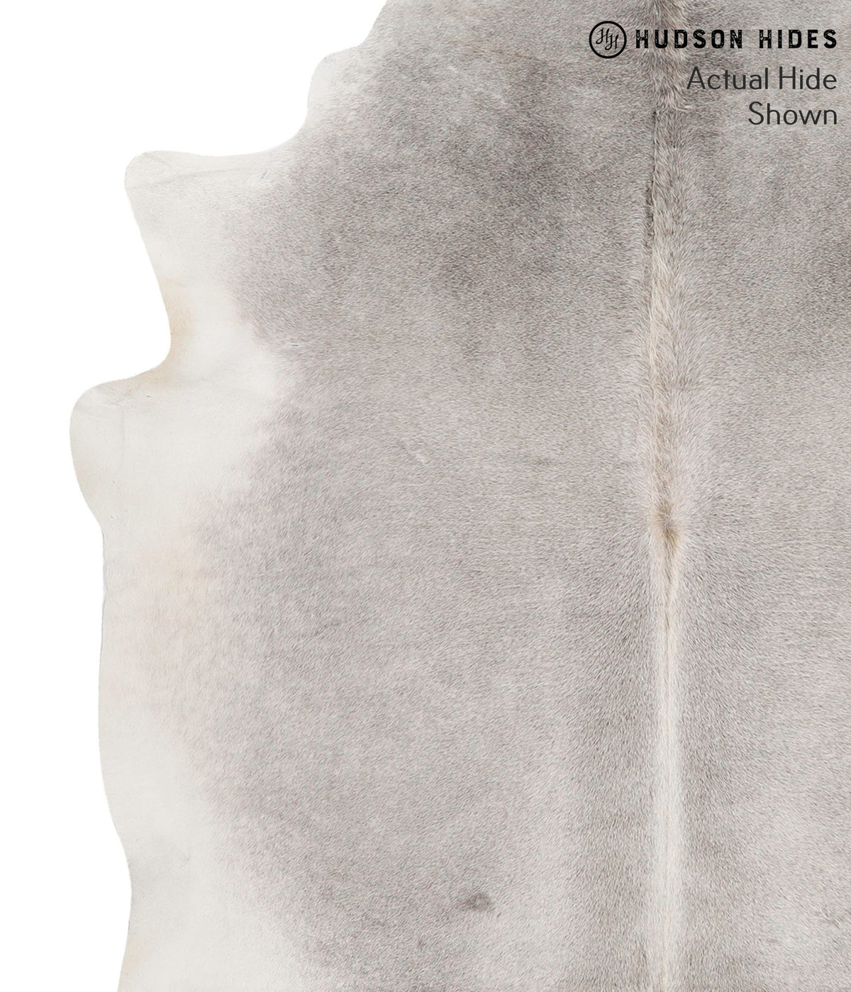 Medium Grey Large Brazilian Cowhide Rug 6'6"H x 5'11"W #69734 by Hudson Hides