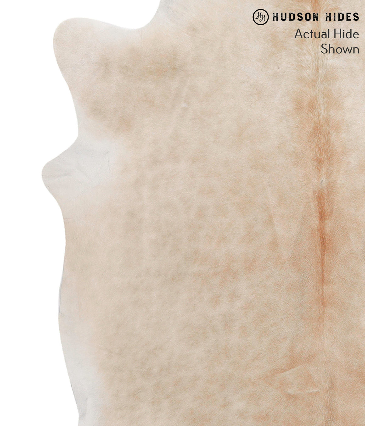 Beige X-Large Brazilian Cowhide Rug 6'8"H x 7'0"W #69821 by Hudson Hides
