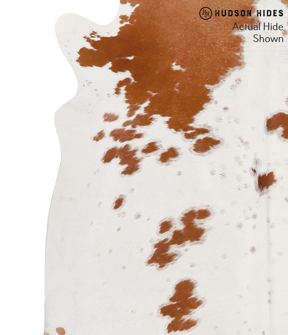 Brown and White X-Large Brazilian Cowhide Rug 7'4"H x 6'3"W #69831 by Hudson Hides