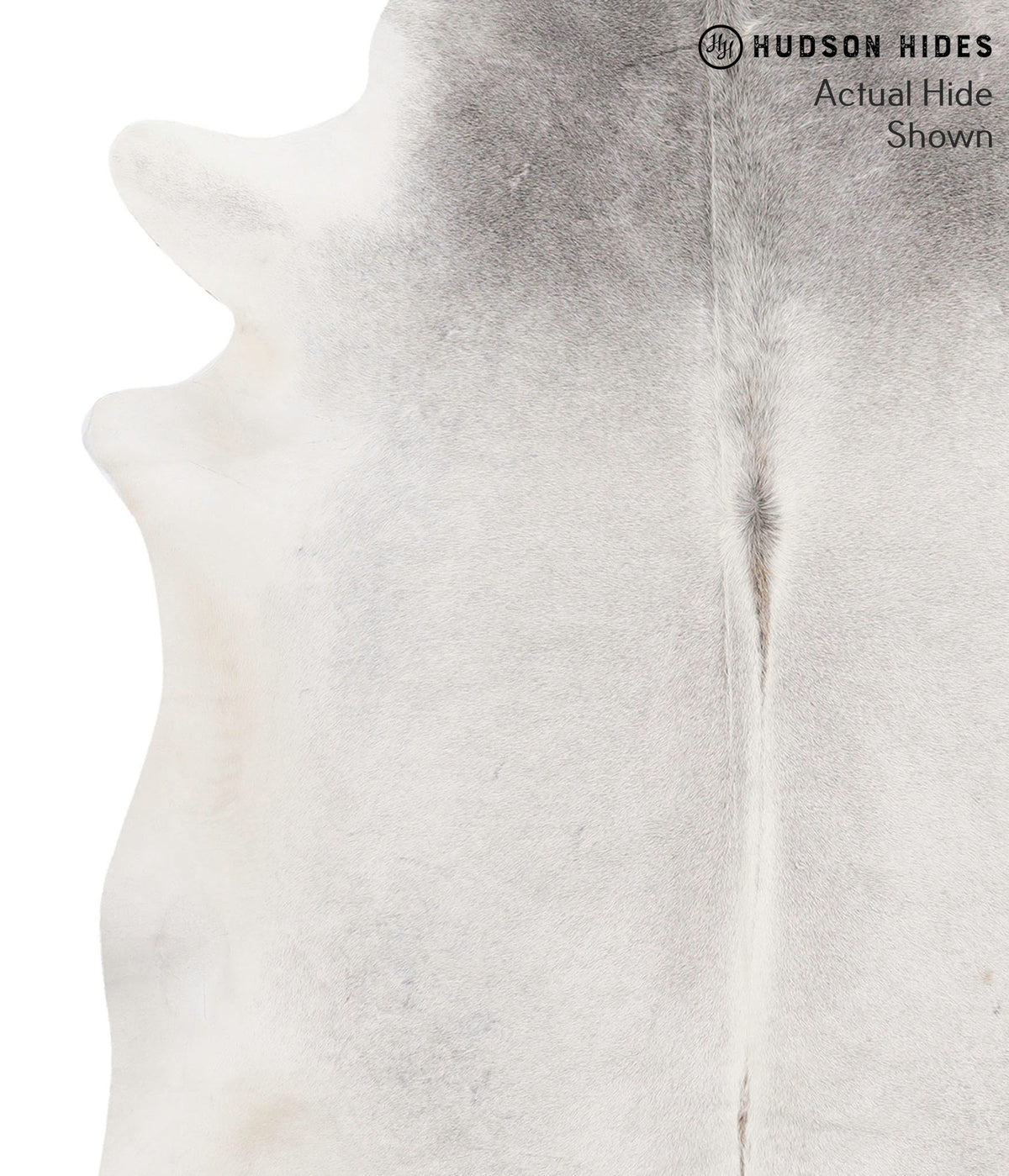 Medium Grey X-Large Brazilian Cowhide Rug 7'1"H x 6'4"W #69896 by Hudson Hides