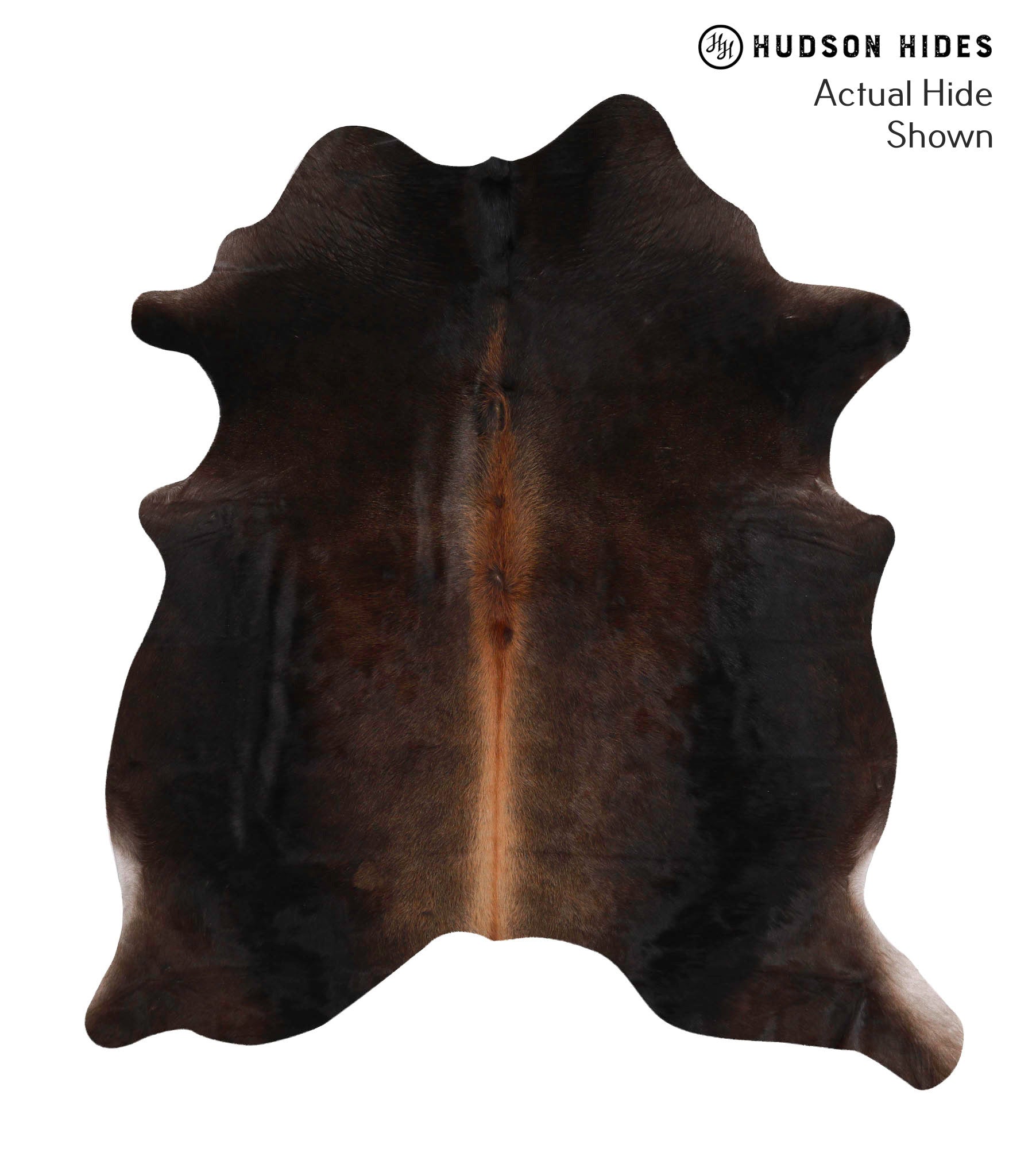 Chocolate Cowhide Rug #70300