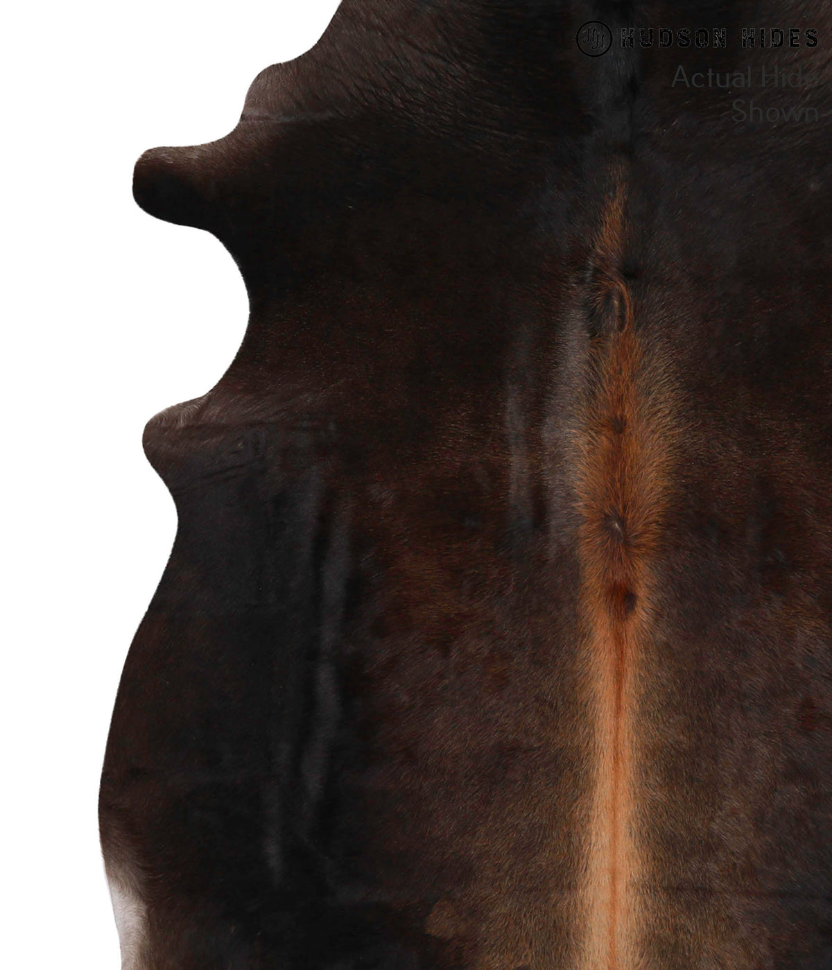 Chocolate X-Large Brazilian Cowhide Rug 6'11"H x 6'1"W #70300 by Hudson Hides