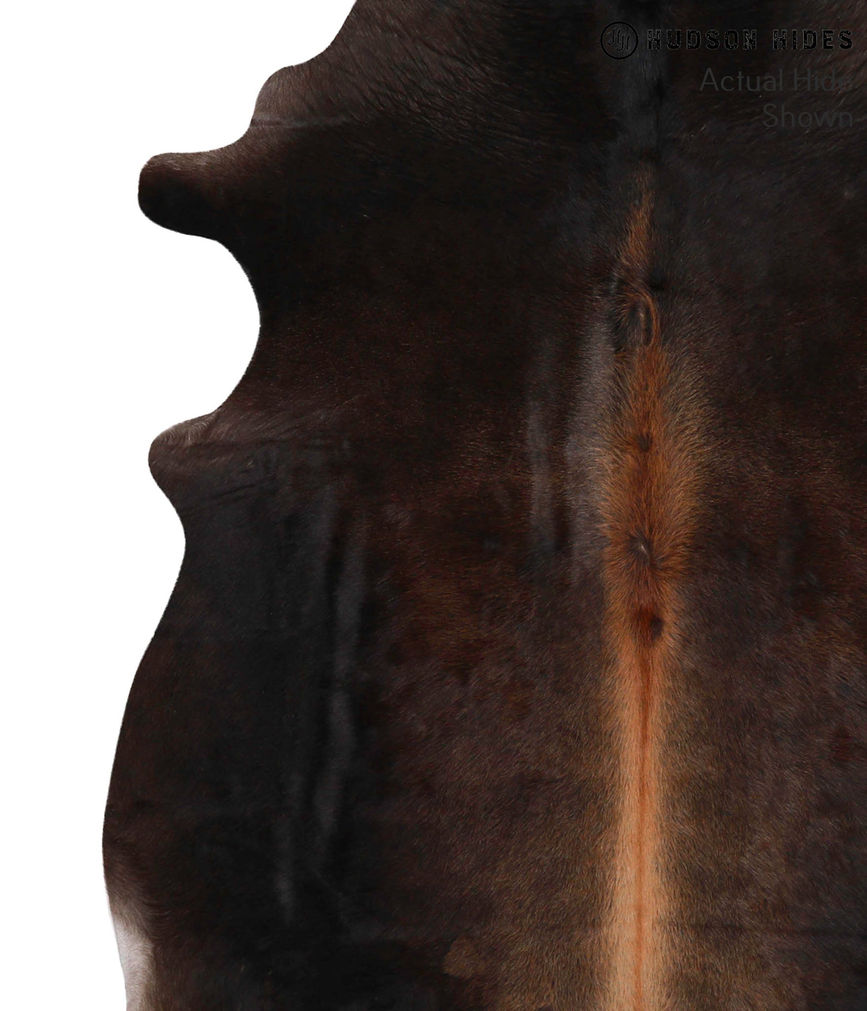 Chocolate Cowhide Rug #70300