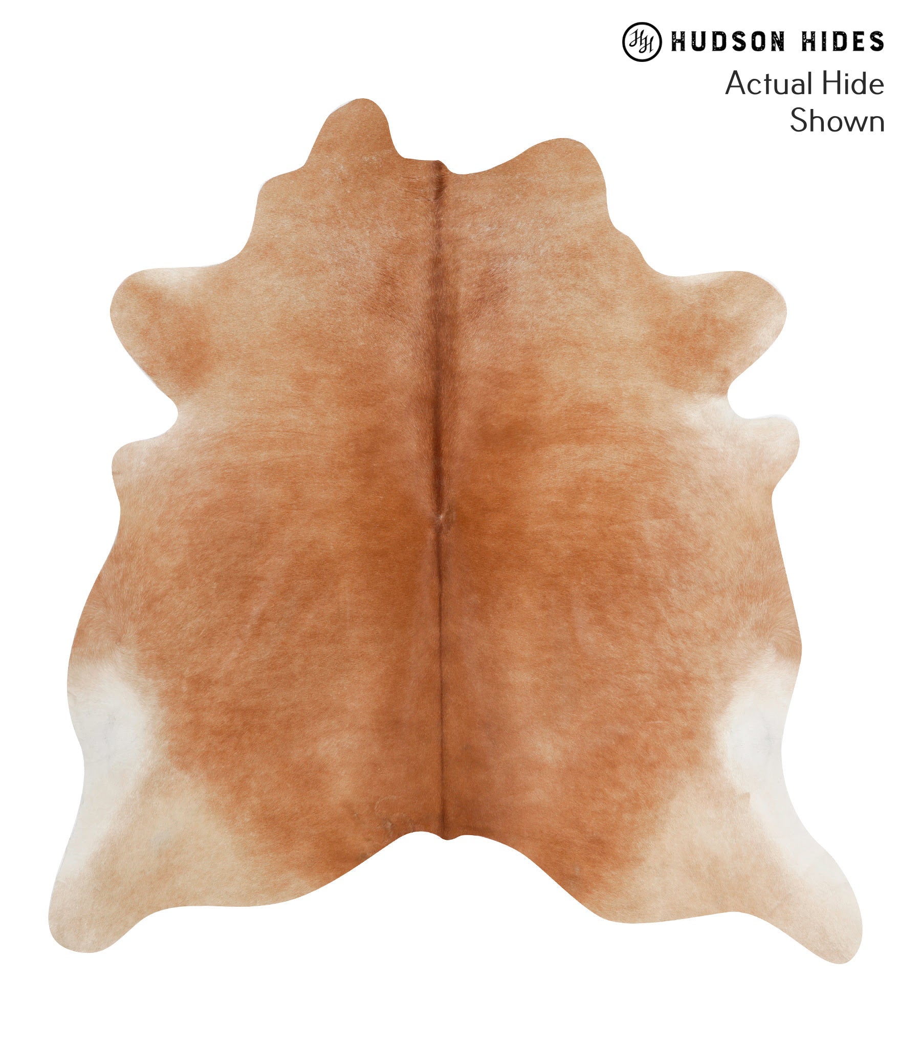 Solid Brown Cowhide Rug #71342