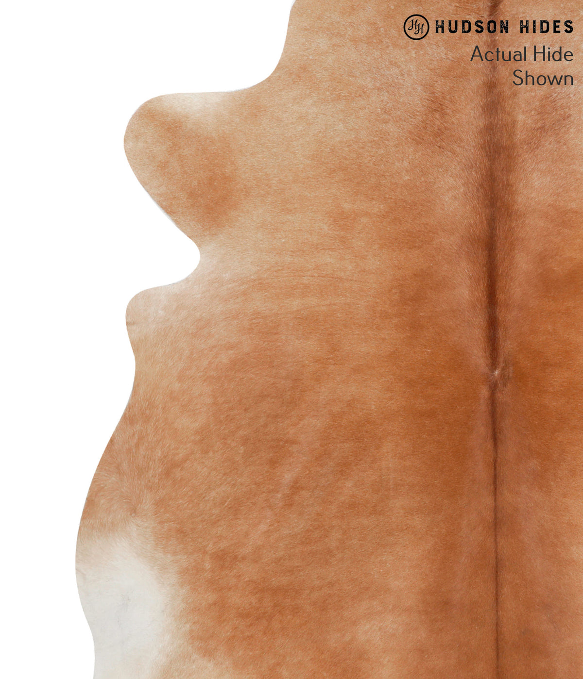 Solid Brown X-Large Brazilian Cowhide Rug 6'11"H x 6'6"W #71342 by Hudson Hides