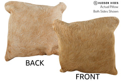 Beige 16