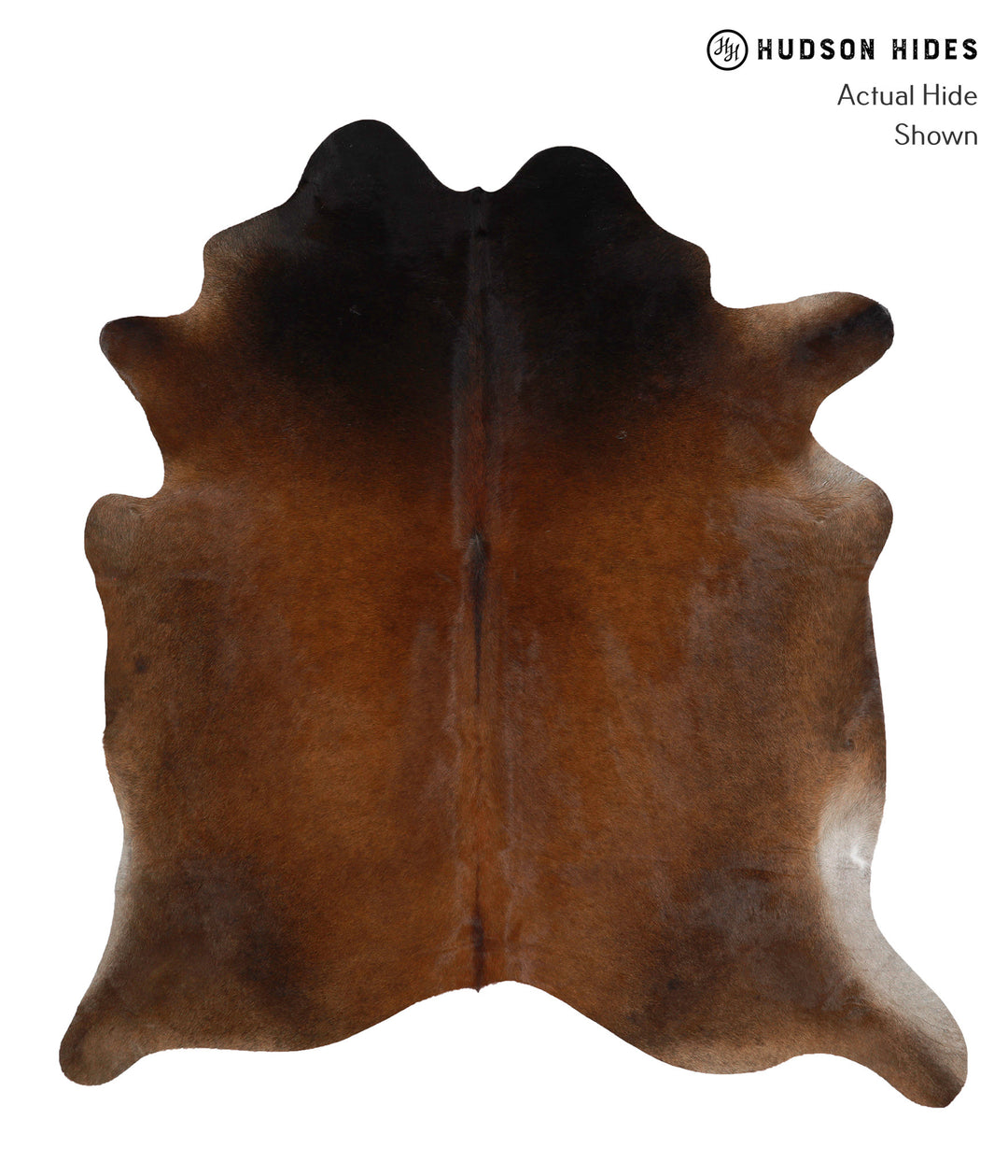 Chocolate X-Large Brazilian Cowhide Rug 6'11"H x 6'4"W #81177 by Hudso