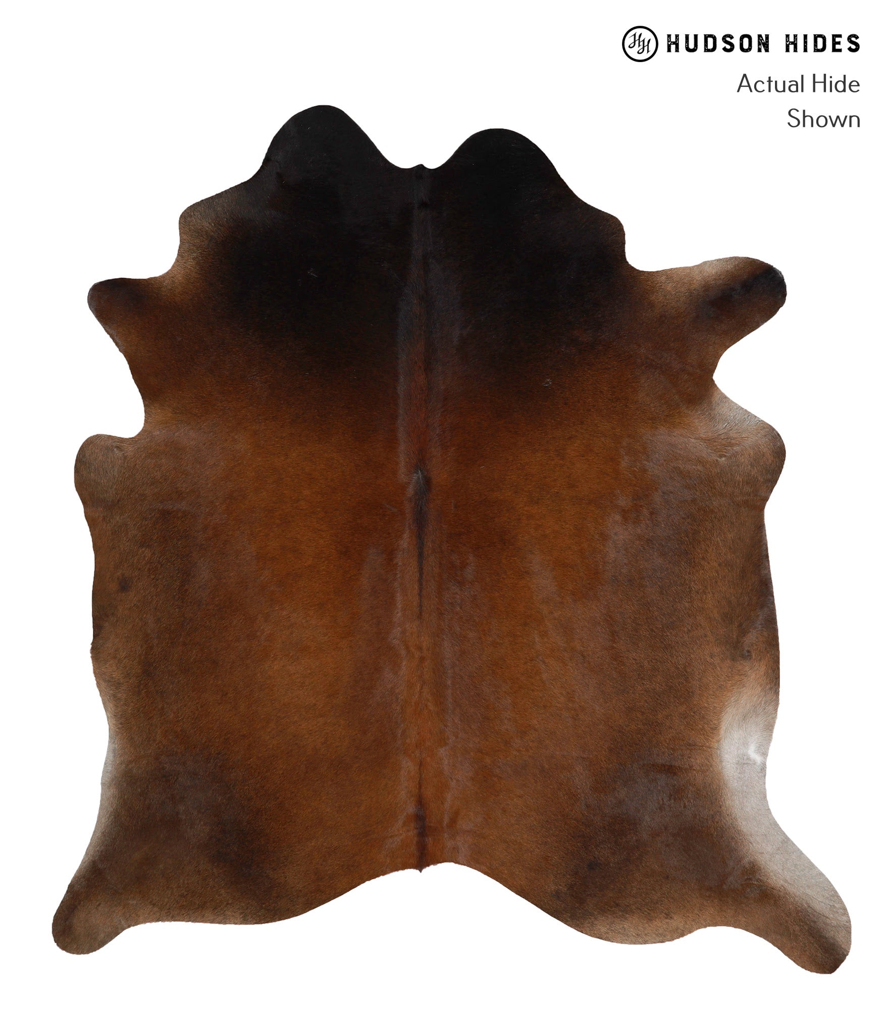 Chocolate Cowhide Rug #81177