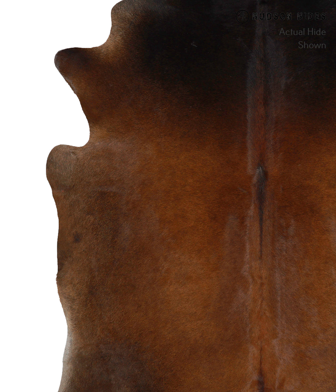 Chocolate X-Large Brazilian Cowhide Rug 6'11"H x 6'4"W #81177 by Hudso