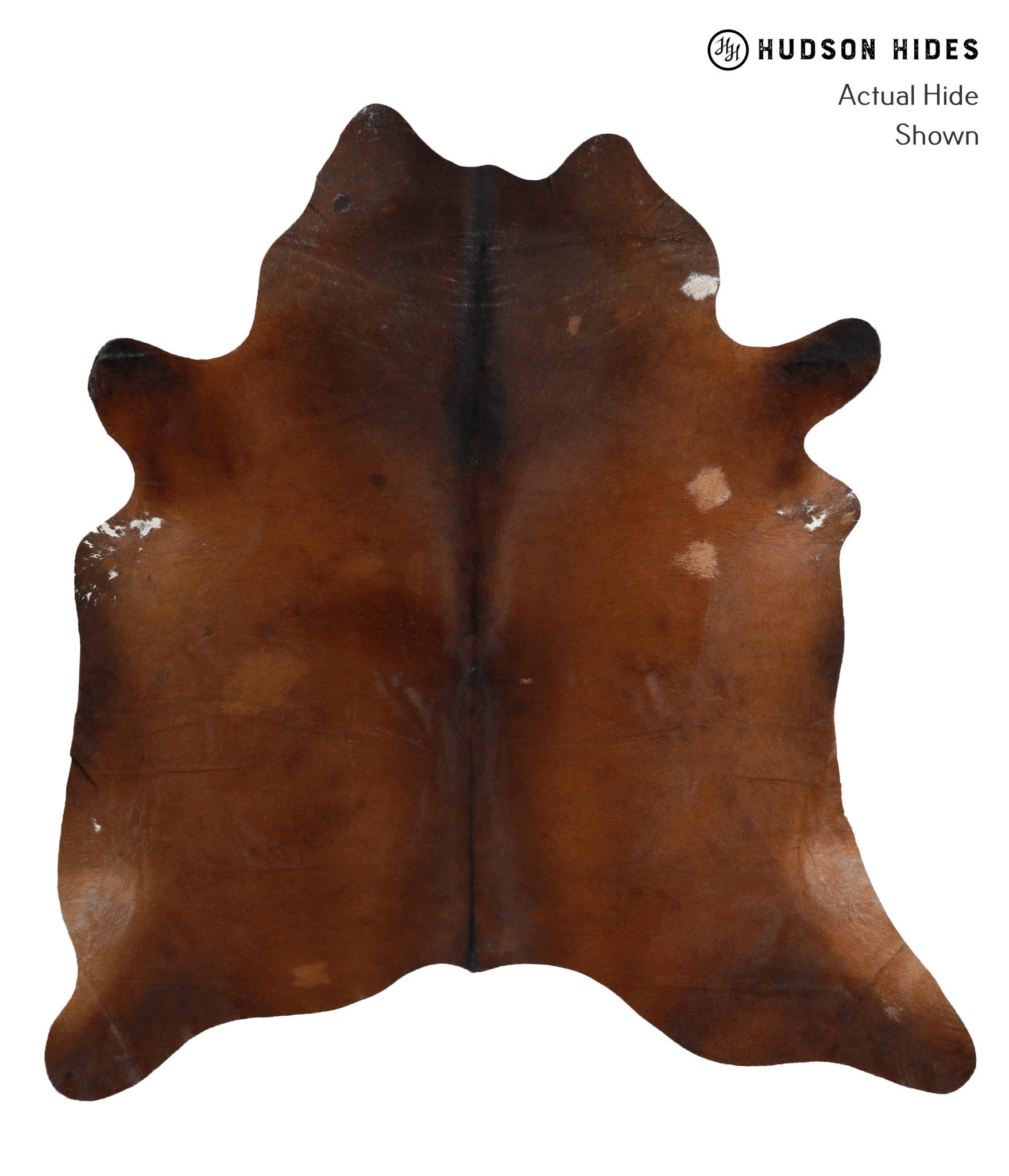Chocolate Cowhide Rug #81186