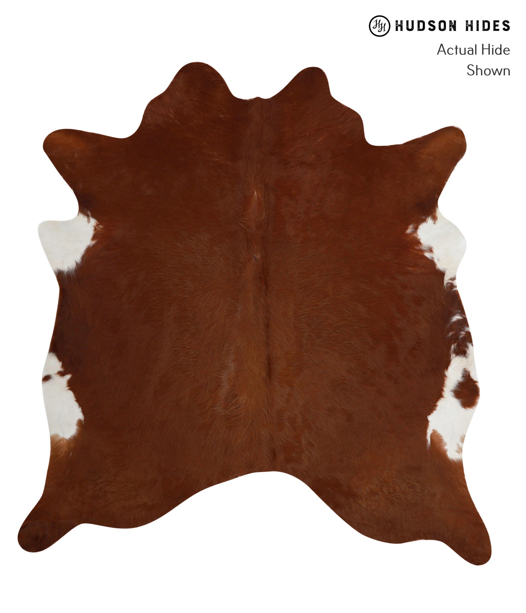 Brown and White Regular Cowhide Rug #81202
