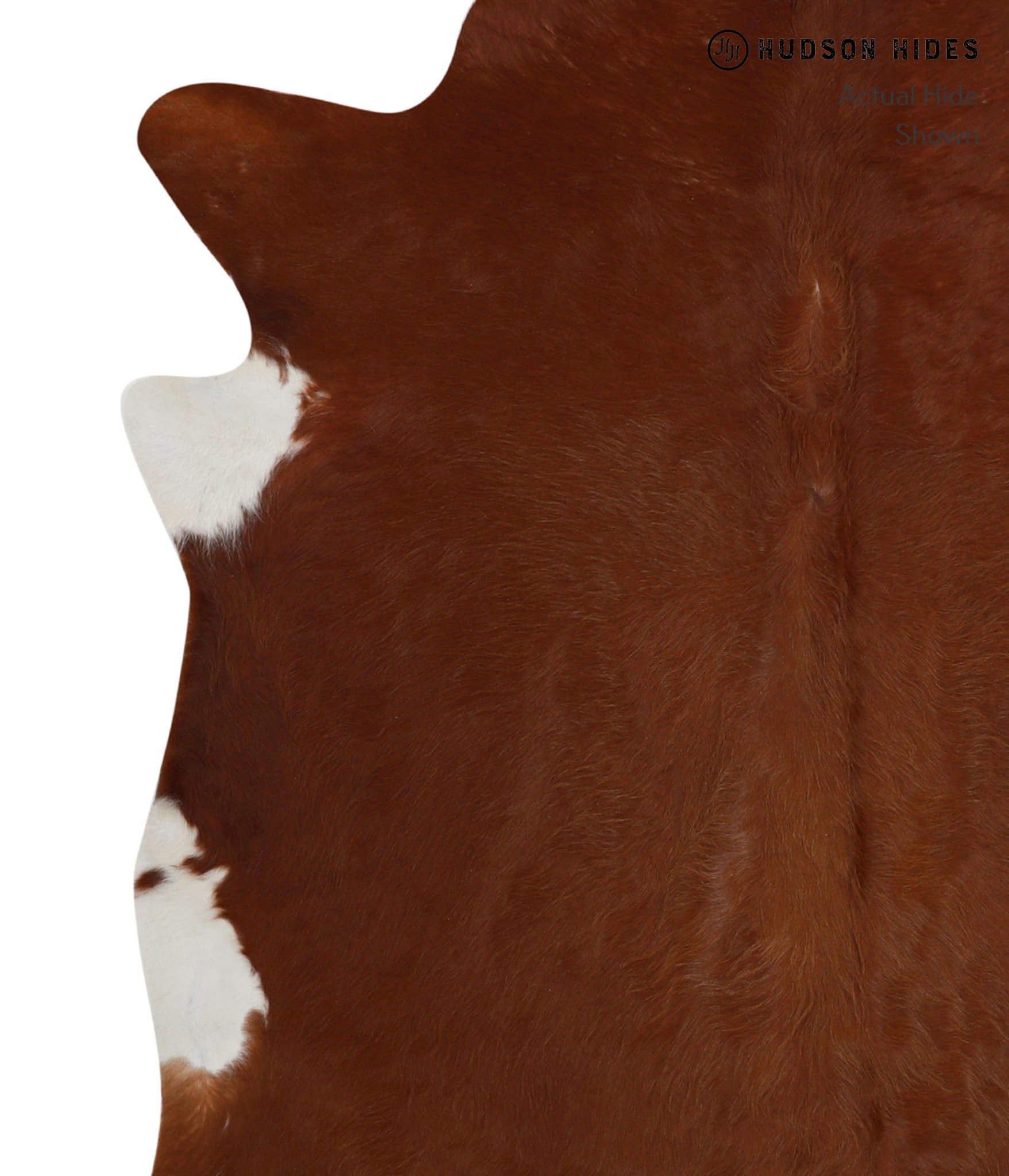 Brown and White Regular Cowhide Rug #81202