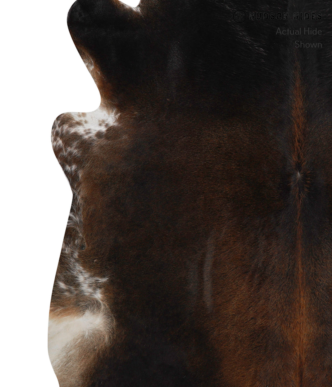 Chocolate XX-Large Brazilian Cowhide Rug 7'3"H x 7'1"W #81214 by Hudso