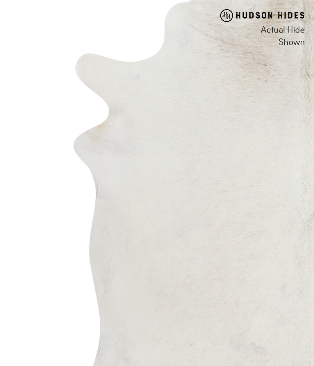 Light Grey XX-Large Brazilian Cowhide Rug 7'2"H x 7'1"W #81244 by Huds