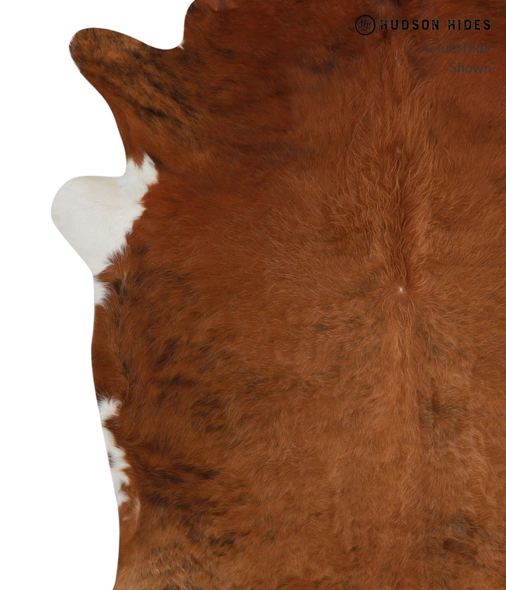 Medium Brindle XX-Large Brazilian Cowhide Rug 7'6"H x 6'8"W #81257 by Hudson Hides