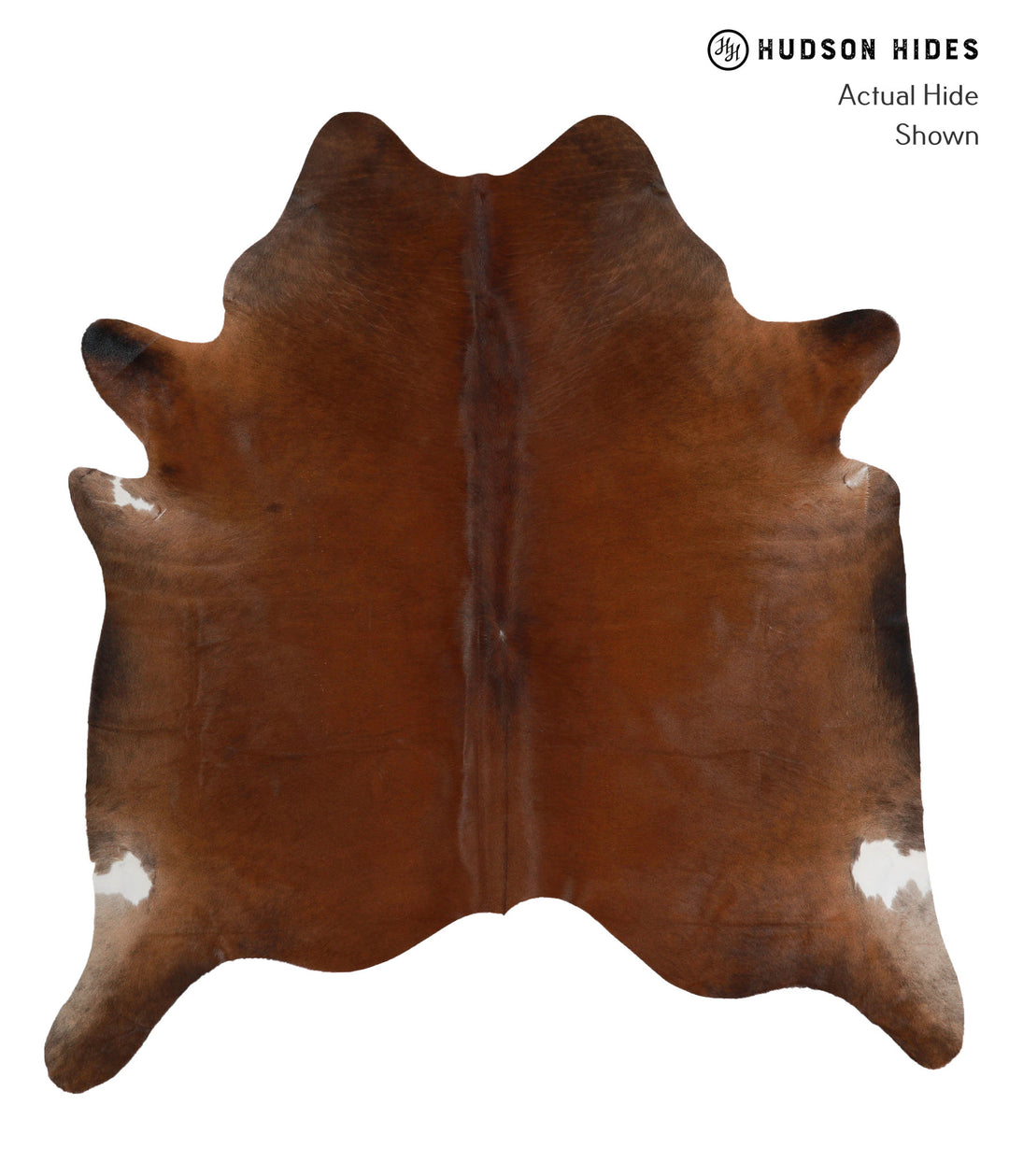 Chocolate X-Large Brazilian Cowhide Rug 7'0"H x 6'7"W #81288 by Hudson