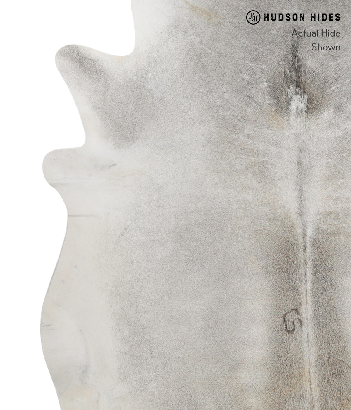 Medium Grey XX-Large Brazilian Cowhide Rug 7'7"H x 7'0"W #81312 by Hudson Hides