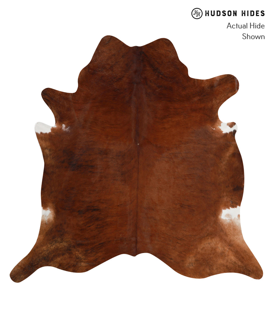Medium Brindle XX-Large Brazilian Cowhide Rug 7'6"H x 7'7"W #81347 by Hudson Hides