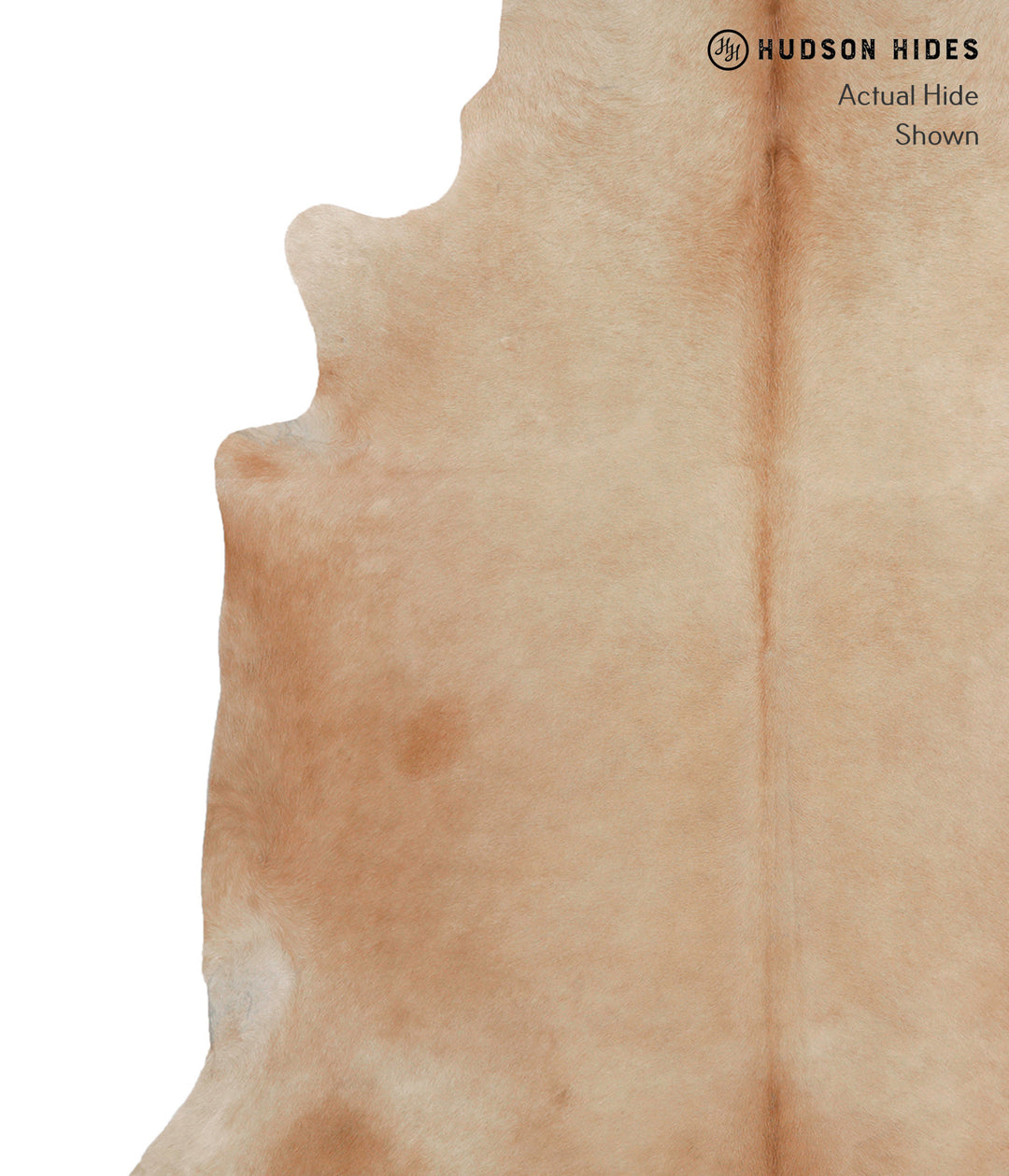 Beige XX-Large Brazilian Cowhide Rug 8'4"H x 7'7"W #81521 by Hudson Hi